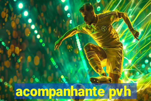acompanhante pvh